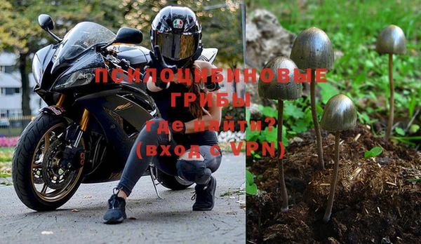 винт Алексин