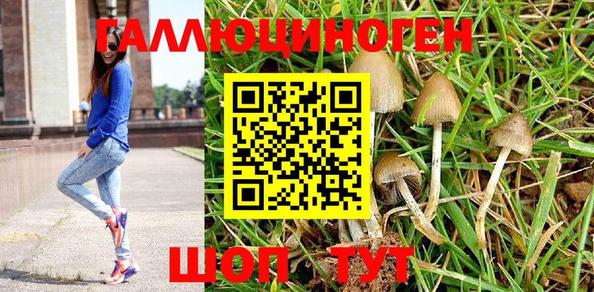 Нововоронеж  Псилоцибиновые грибы GOLDEN TEACHER  Вход с VPN 